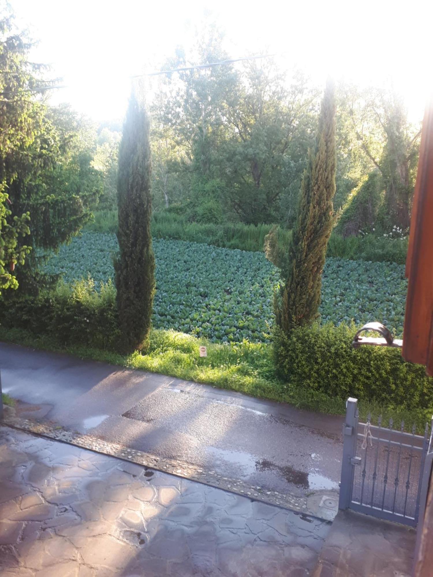 B&B Due Abeti Florencia Exterior foto